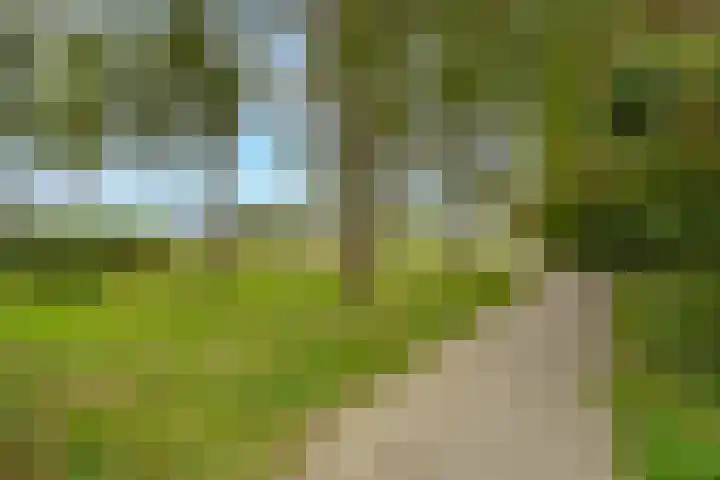 Mazzinilaan 57 Middelburg thumbnail 32