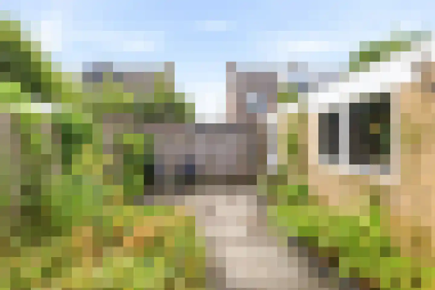 Mazzinilaan 71 Middelburg thumbnail 17