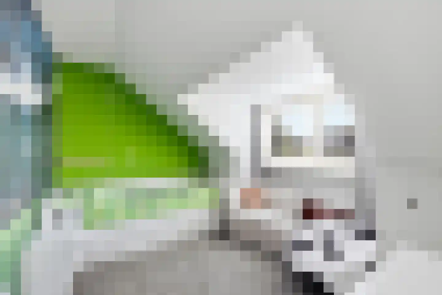 Mazzinilaan 71 Middelburg thumbnail 32