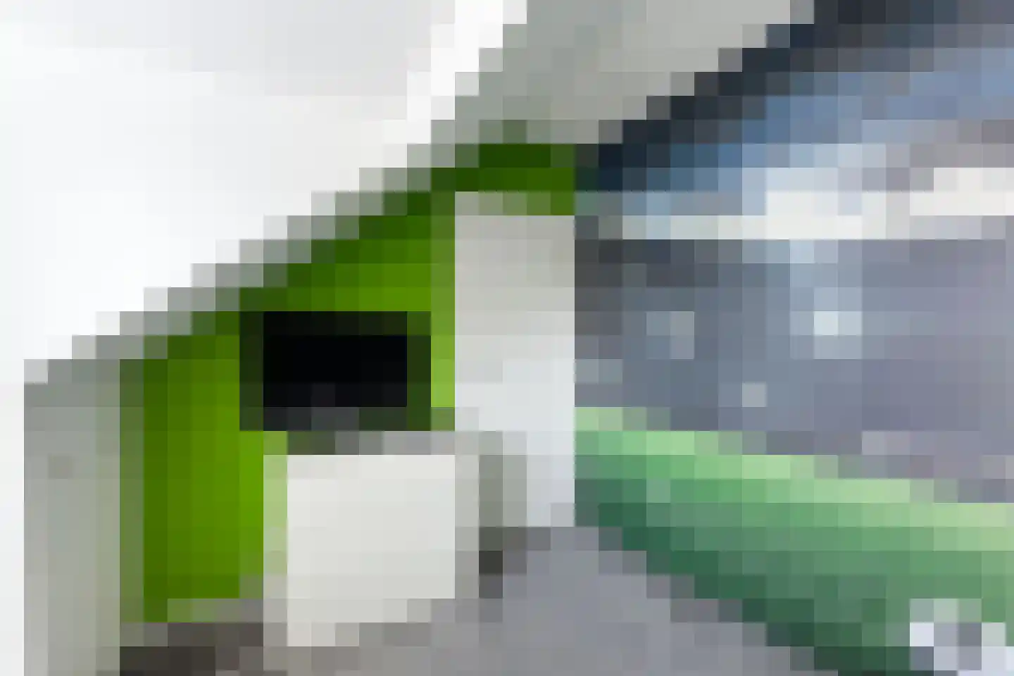 Mazzinilaan 71 Middelburg thumbnail 33