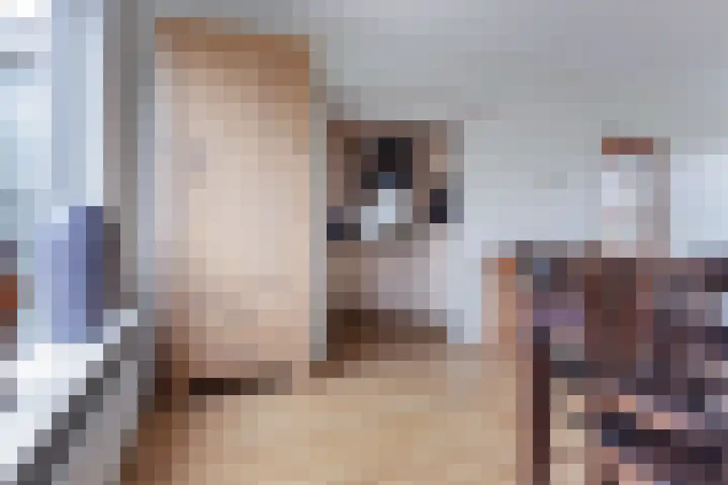 Meagere Weide 14 Warten thumbnail 10