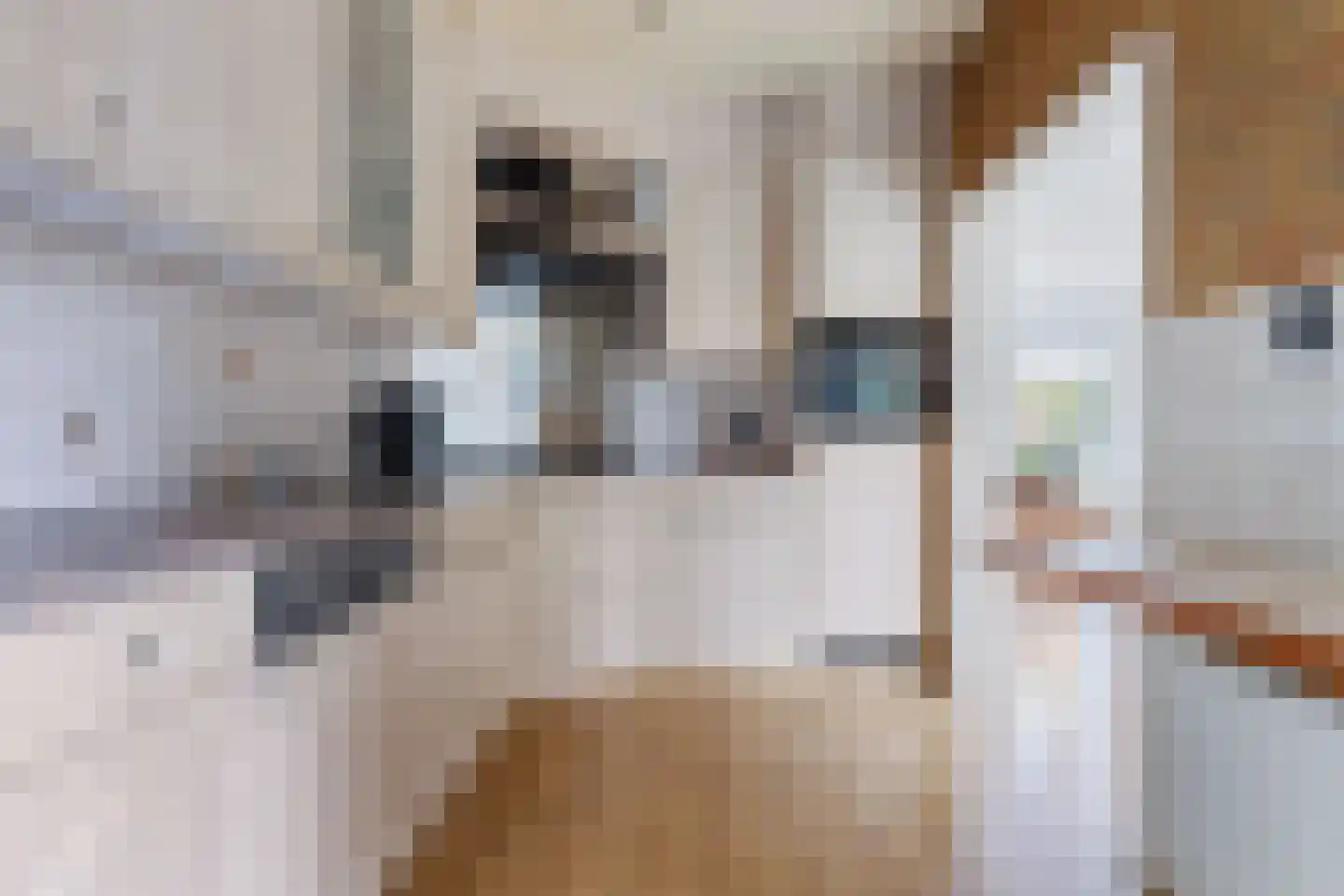 Meagere Weide 14 Warten thumbnail 12