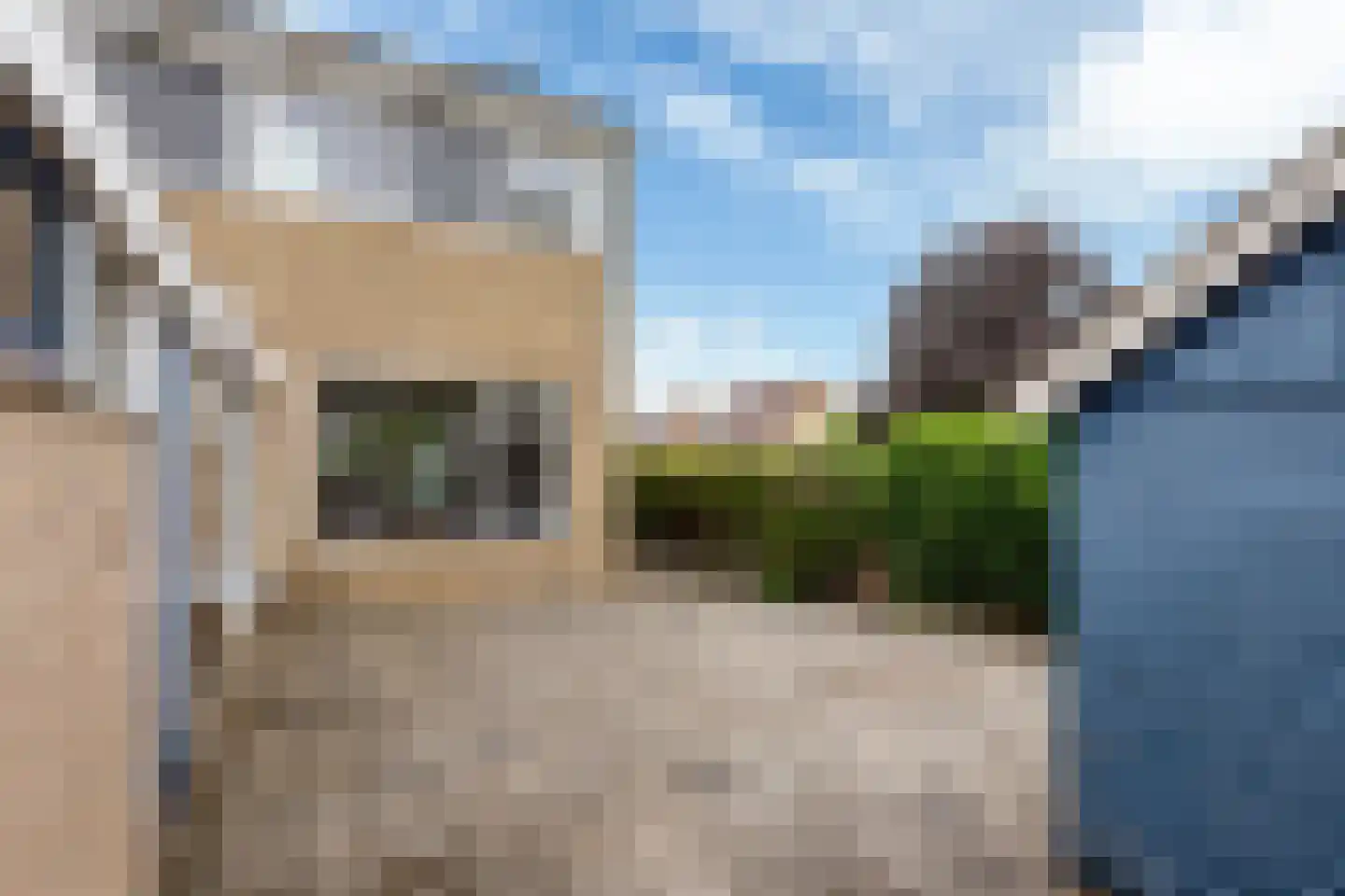 Meagere Weide 14 Warten thumbnail 35