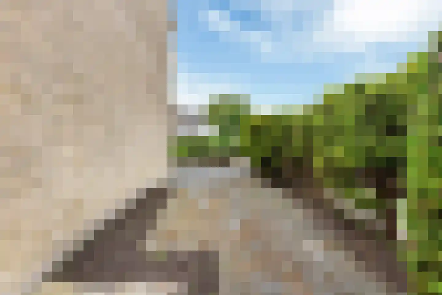 Meagere Weide 14 Warten thumbnail 38