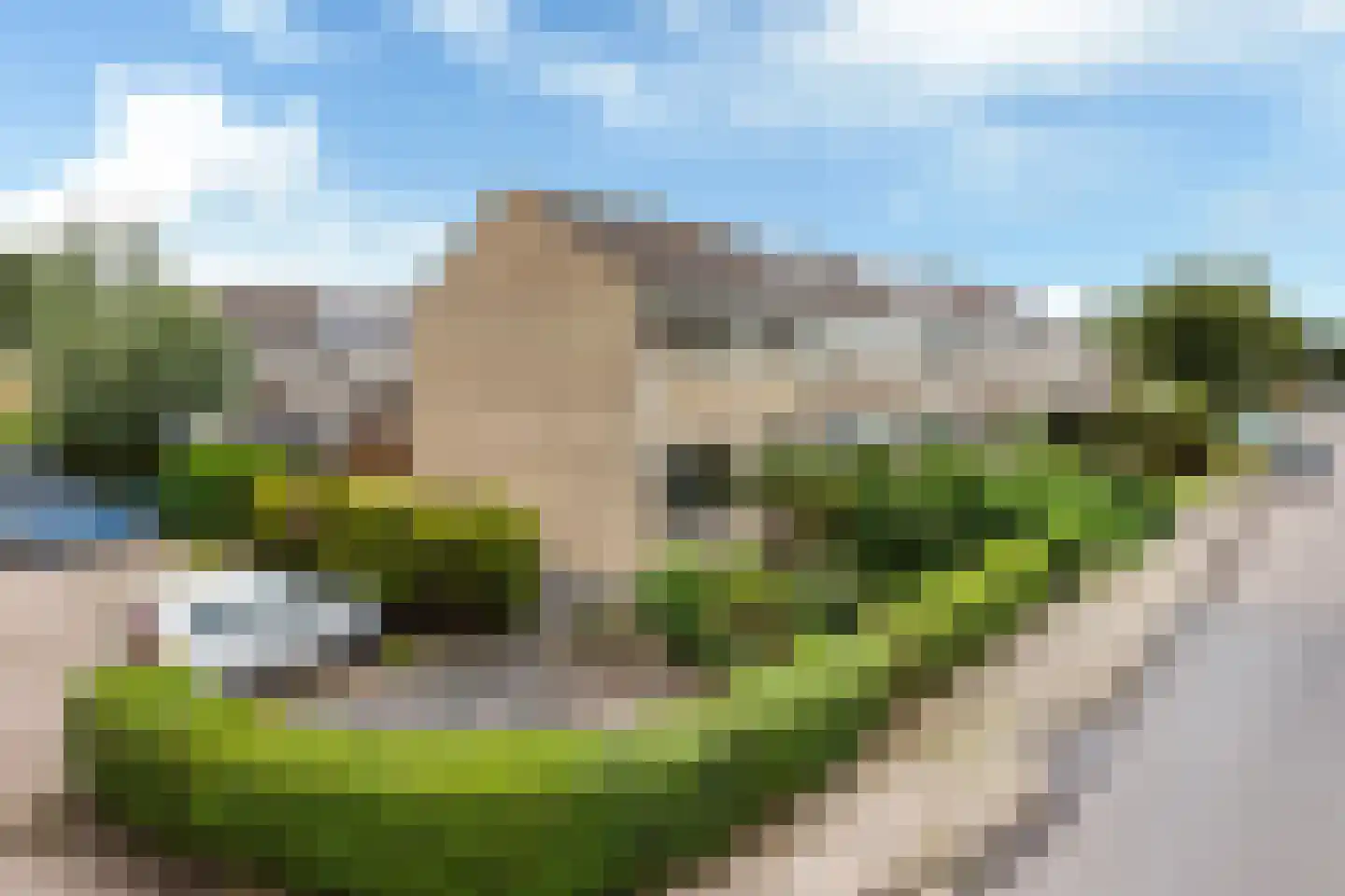 Meagere Weide 14 Warten thumbnail 41
