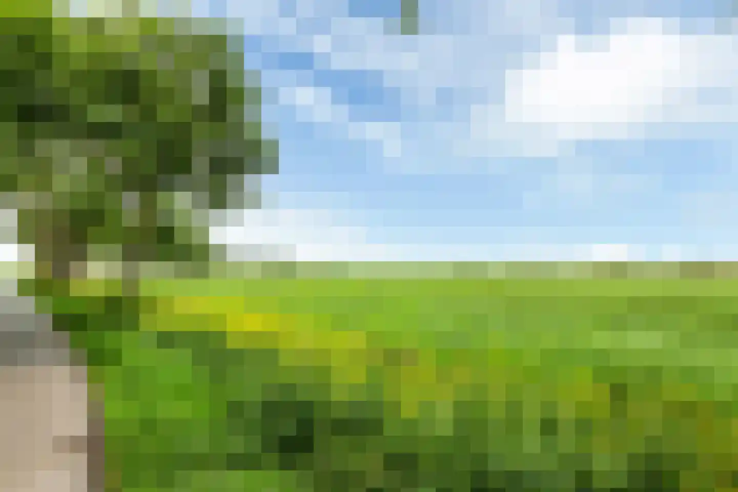 Meagere Weide 14 Warten thumbnail 47