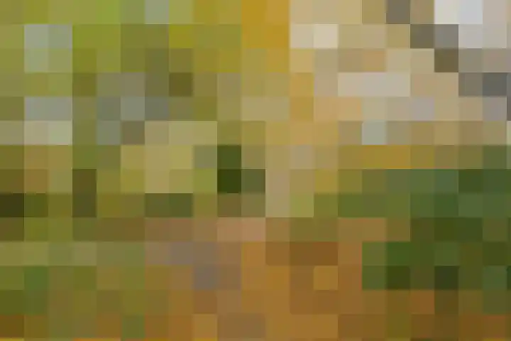 Meander 1033 Amstelveen thumbnail 22