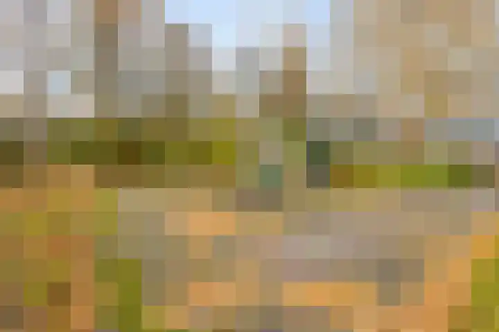 Meander 1033 Amstelveen thumbnail 23