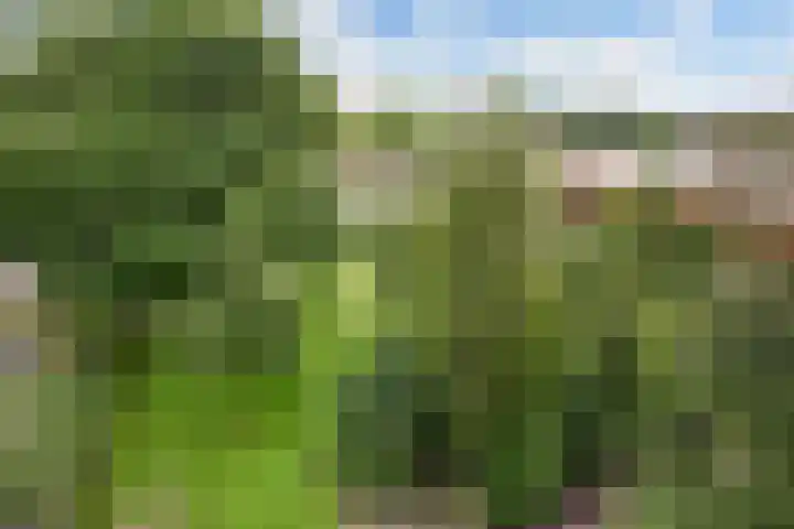 Meander 1051 Amstelveen thumbnail 37