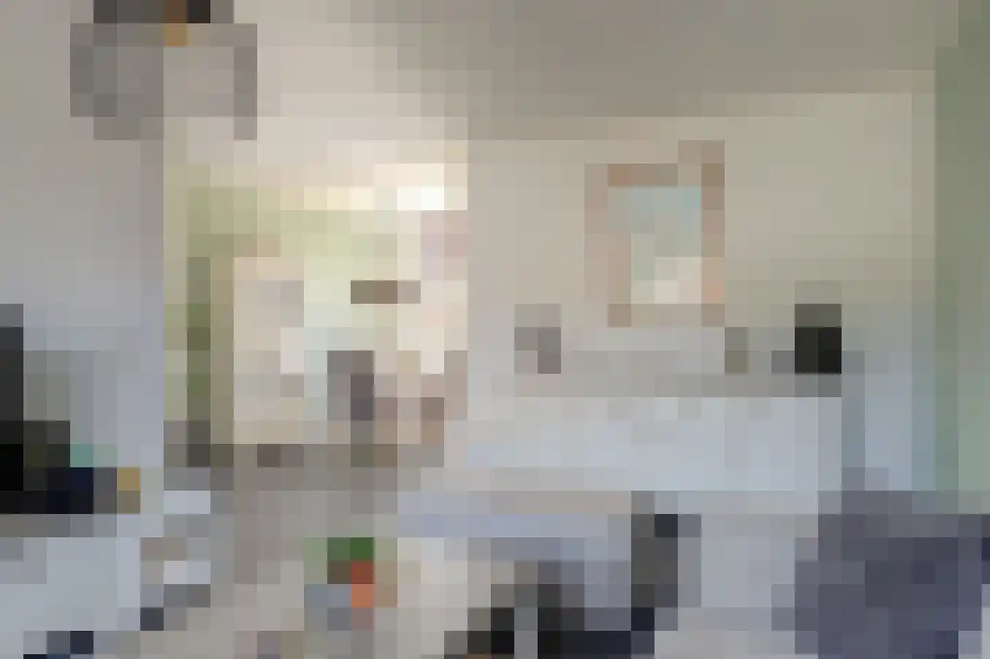 Meander 13 Andijk thumbnail 6