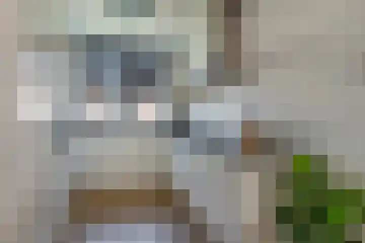 Meander 19 Ammerzoden thumbnail 11