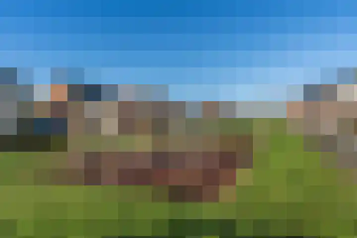 Meander 19 Ammerzoden thumbnail 32