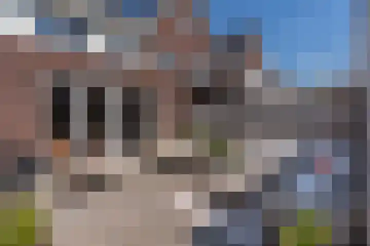 Meander 19 Ammerzoden thumbnail 4