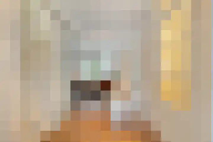 Meander 22 Bemmel thumbnail 11