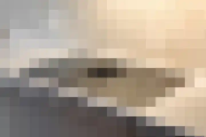 Meander 22 Bemmel thumbnail 19