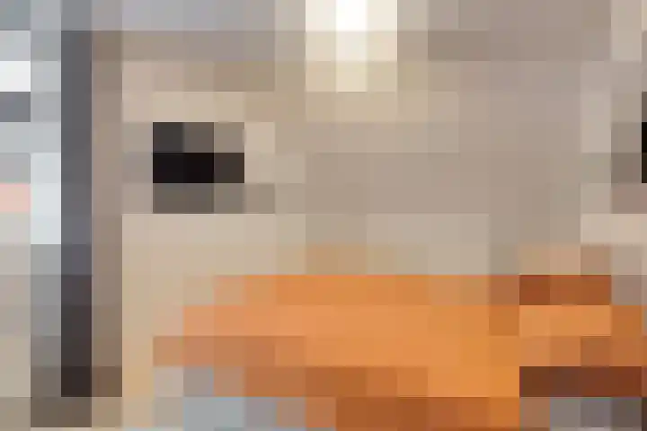 Meander 22 Bemmel thumbnail 24