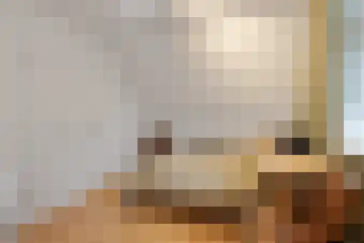 Meander 22 Bemmel thumbnail 35
