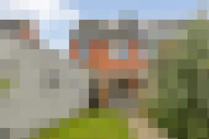 Meander 22 Bemmel thumbnail 38