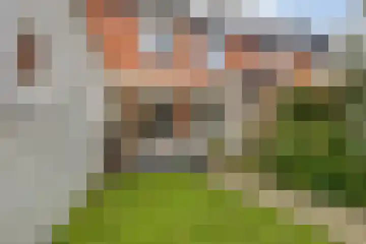 Meander 22 Bemmel thumbnail 39