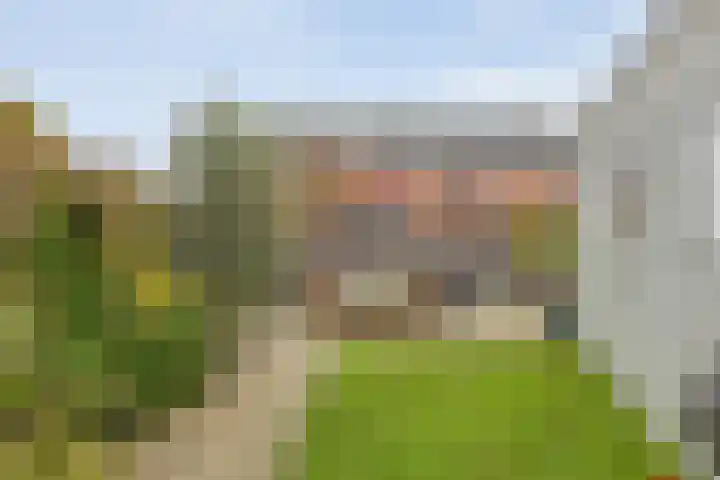 Meander 22 Bemmel thumbnail 41