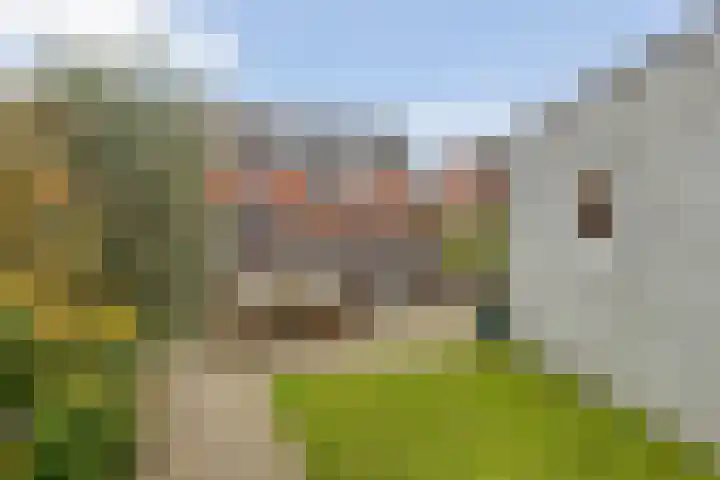 Meander 22 Bemmel thumbnail 42