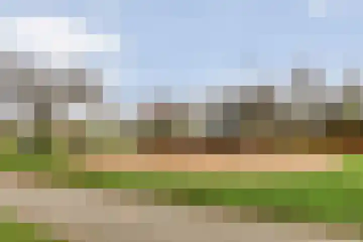 Meander 22 Bemmel thumbnail 47