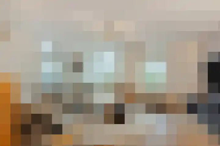 Meander 22 Bemmel thumbnail 7