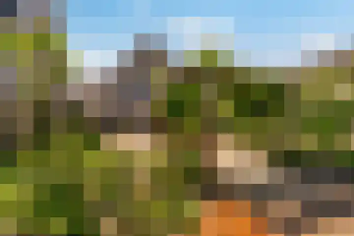 Meander 22 Rosmalen thumbnail 33