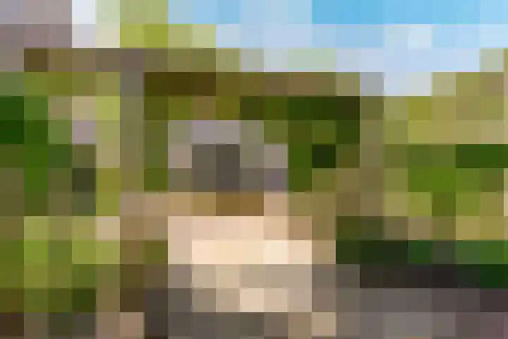 Meander 22 Rosmalen thumbnail 38
