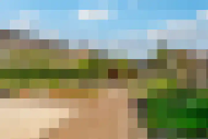 Meander 22 Rosmalen thumbnail 41