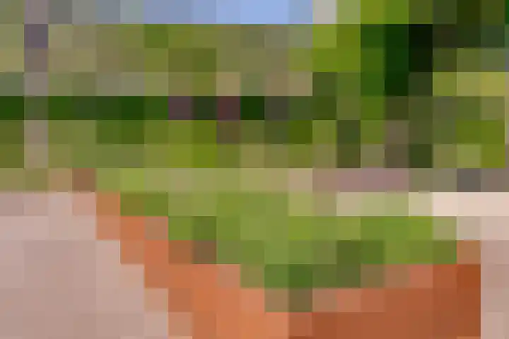 Meander 22 Rosmalen thumbnail 42