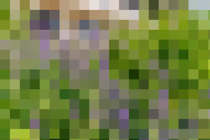 Meander 22 Rosmalen thumbnail 55