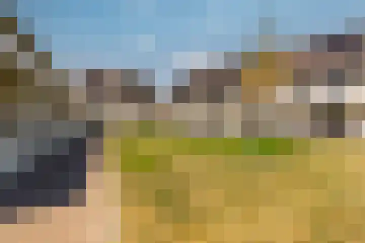 Meander 22 Rosmalen thumbnail 56