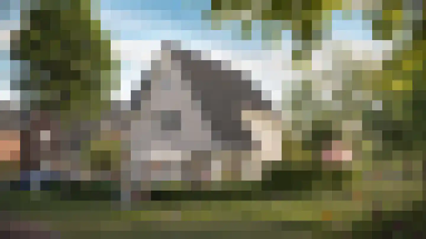 Meander 24 Huissen