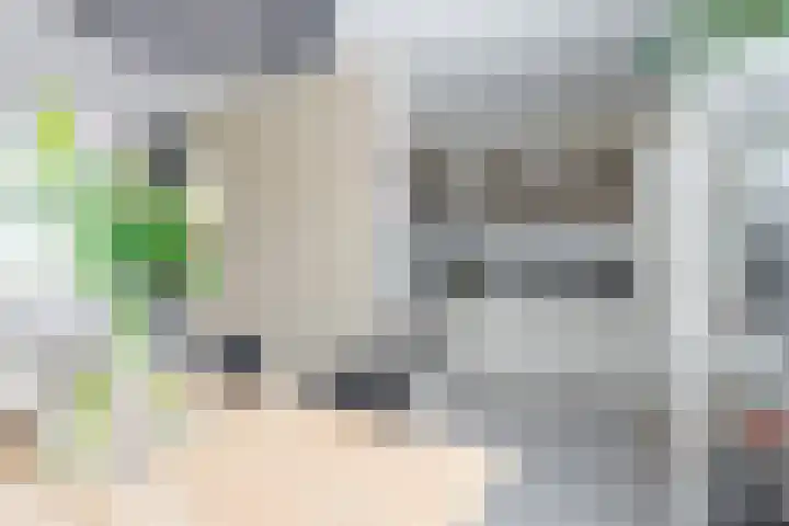 Meander 26 Bemmel thumbnail 10