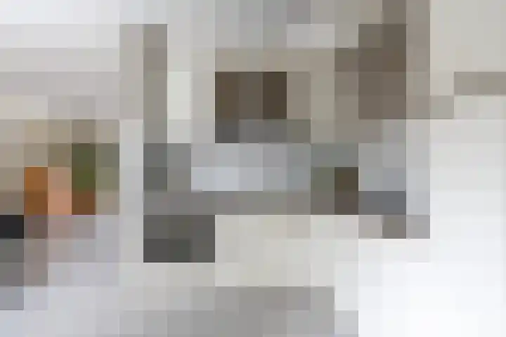 Meander 26 Bemmel thumbnail 13