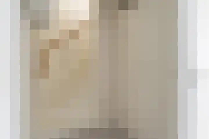 Meander 26 Bemmel thumbnail 14