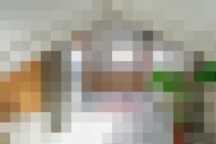 Meander 26 Bemmel thumbnail 32