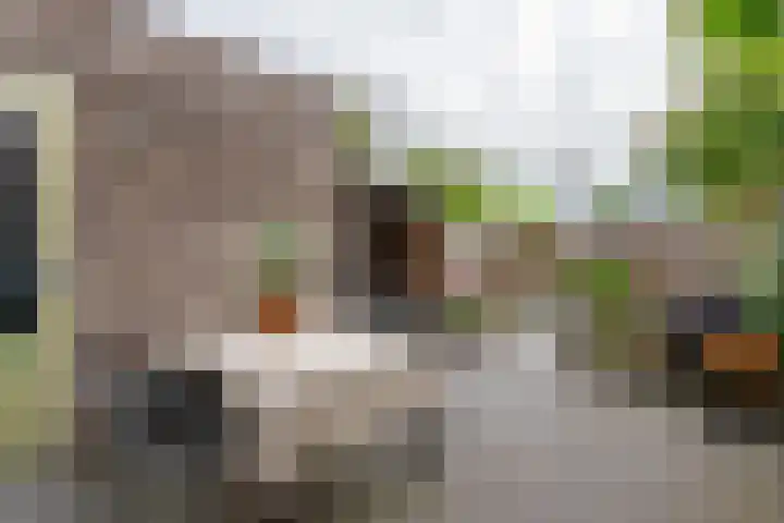 Meander 26 Bemmel thumbnail 34