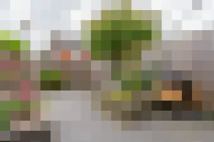 Meander 26 Bemmel thumbnail 35