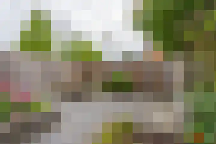 Meander 26 Bemmel thumbnail 36