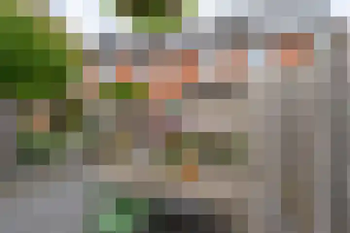 Meander 26 Bemmel thumbnail 37