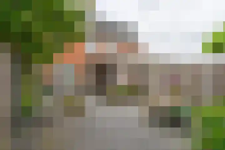Meander 26 Bemmel thumbnail 38