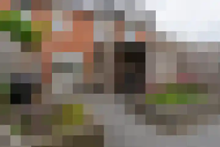 Meander 26 Bemmel thumbnail 39