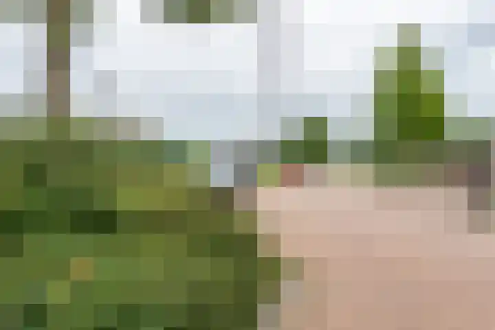 Meander 26 Bemmel thumbnail 43