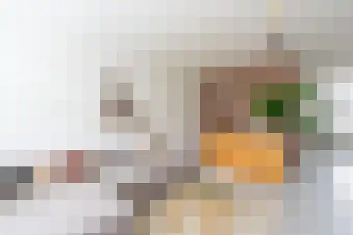 Meander 26 Bemmel thumbnail 5