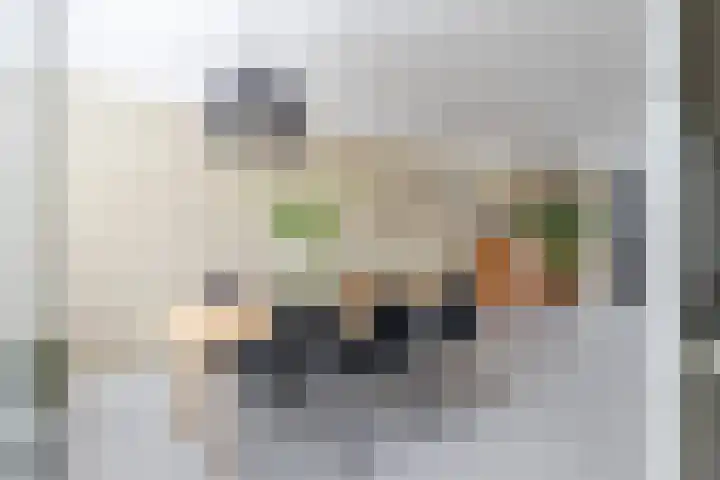 Meander 26 Bemmel thumbnail 8