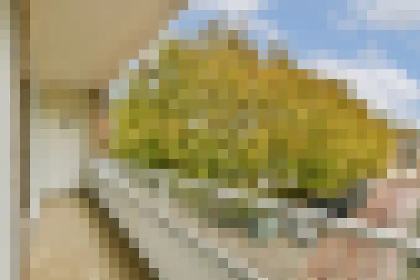 Meander 261 Amstelveen thumbnail 10