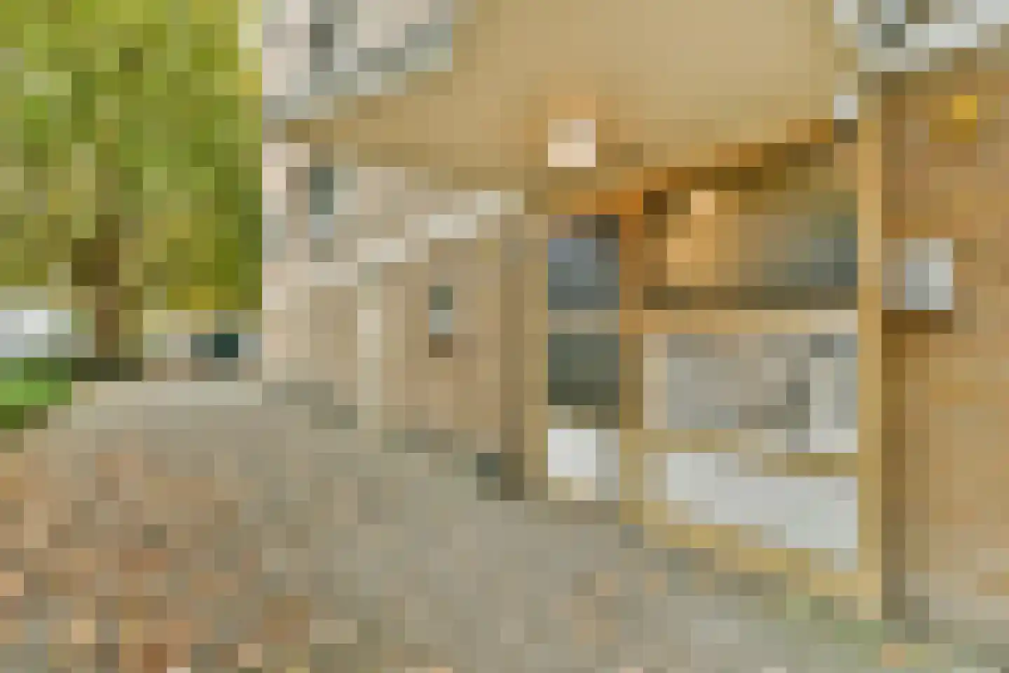 Meander 261 Amstelveen thumbnail 22