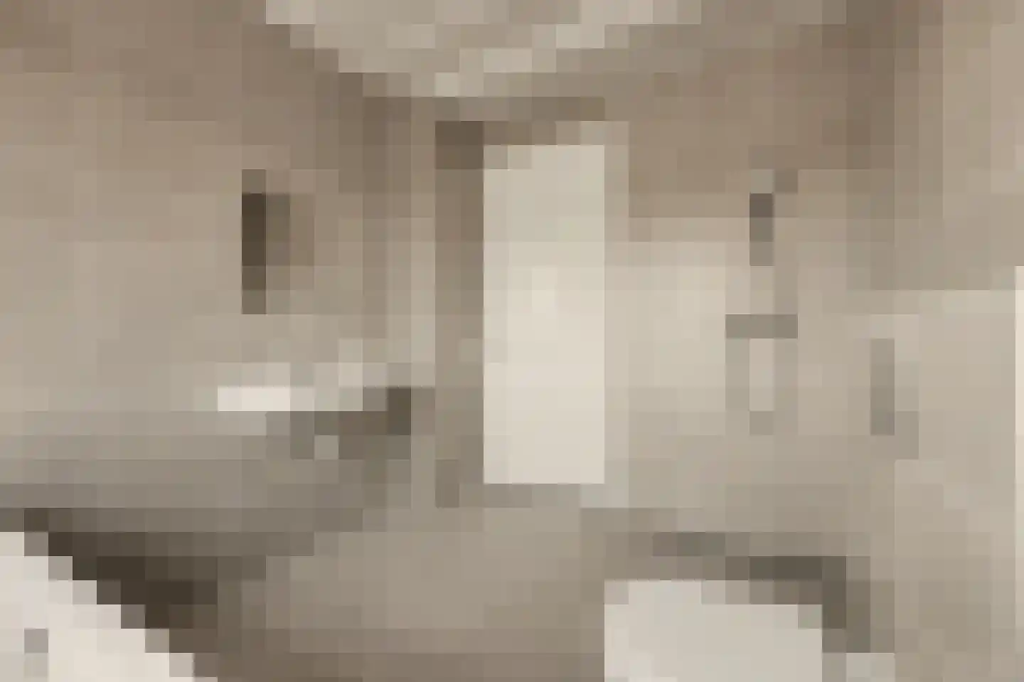 Meander 28 Huissen thumbnail 22